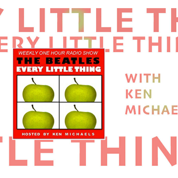 EVERY-LITTLE-THING-ELT-KEN-MICHAELS