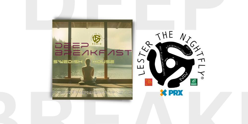 SWEDISH HOUSE MUSIC | LESTER THE NIGHTFLY