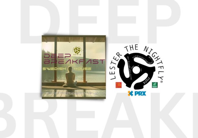 SWEDISH HOUSE MUSIC | LESTER THE NIGHTFLY