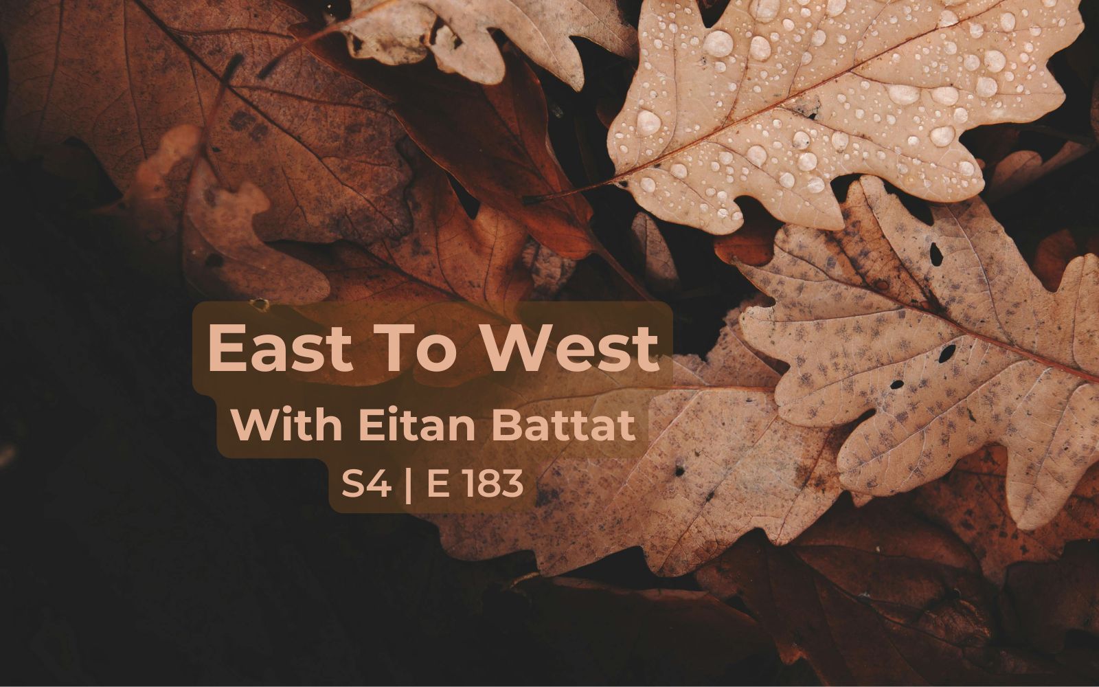 Autumn | WERB Radio S4 E183